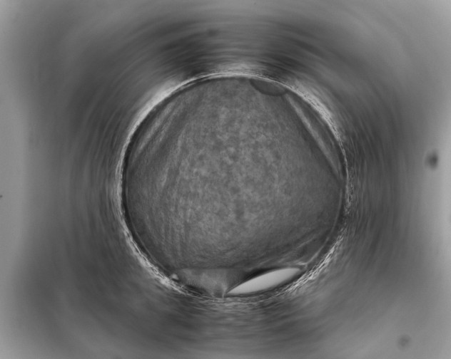 X0000098190949200805081045