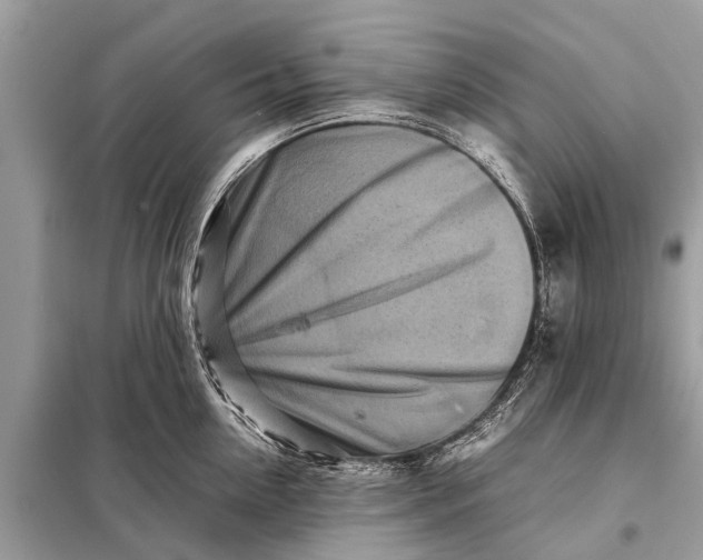 X0000098190954200805081045