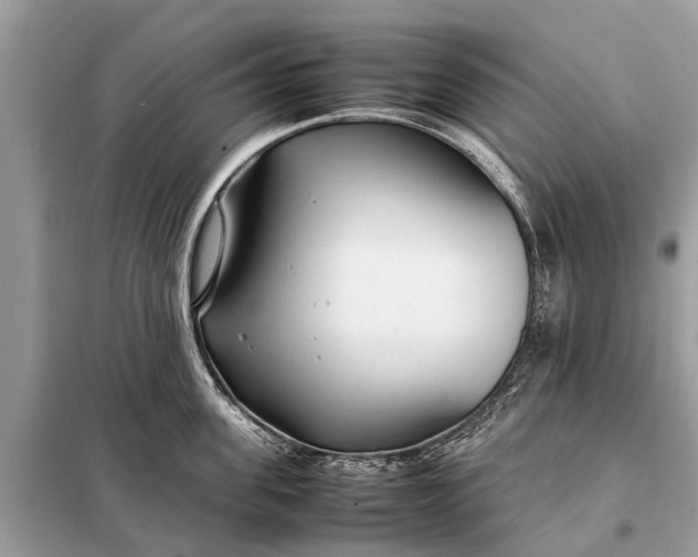 X0000098190955200805081045
