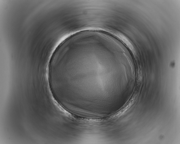 X0000098190958200805081045
