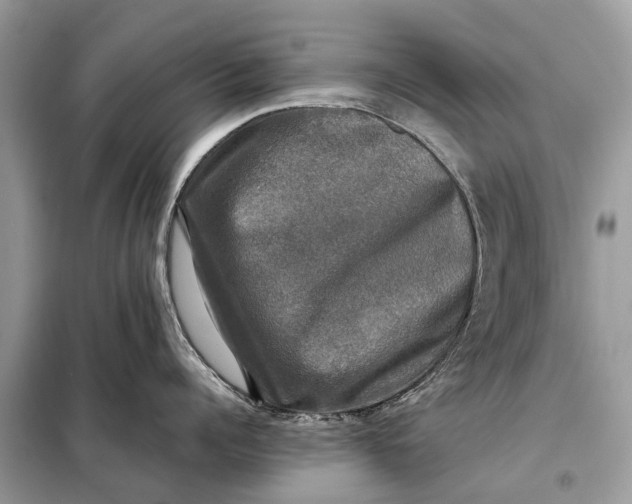 X0000098190960200805081045