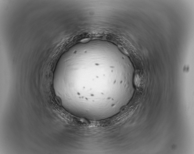 X0000098190961200805081044