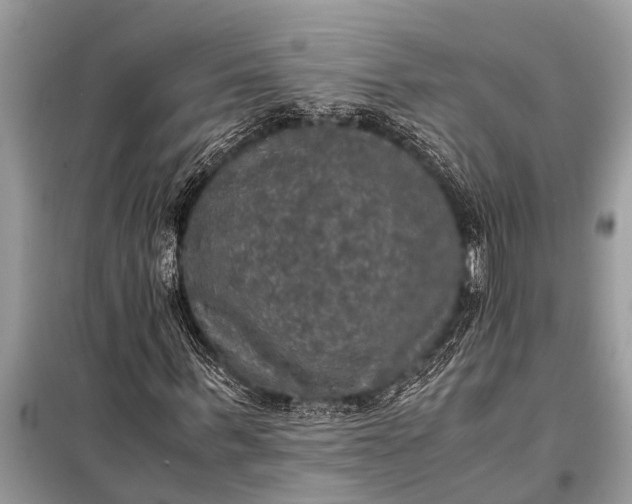 X0000098190963200805081044