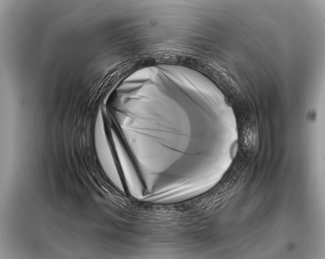 X0000098190964200805081044
