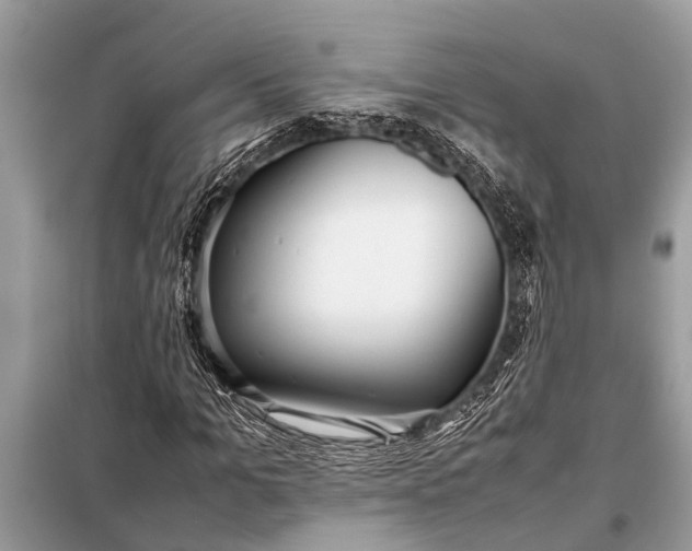 X0000098190965200805081044