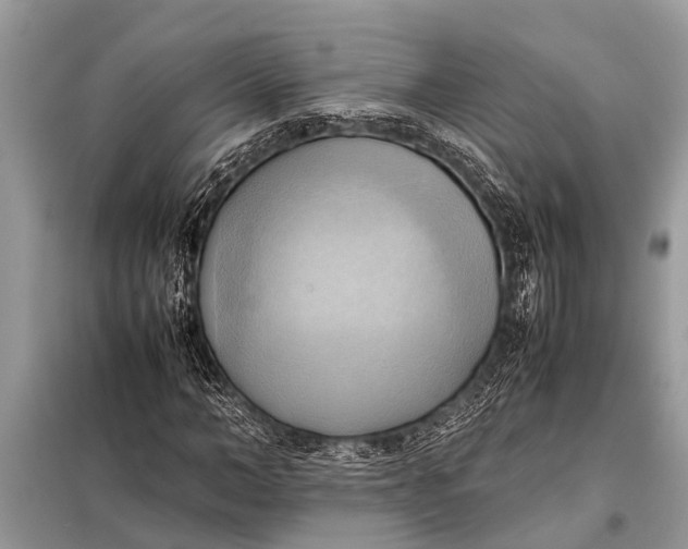X0000098190966200805081044