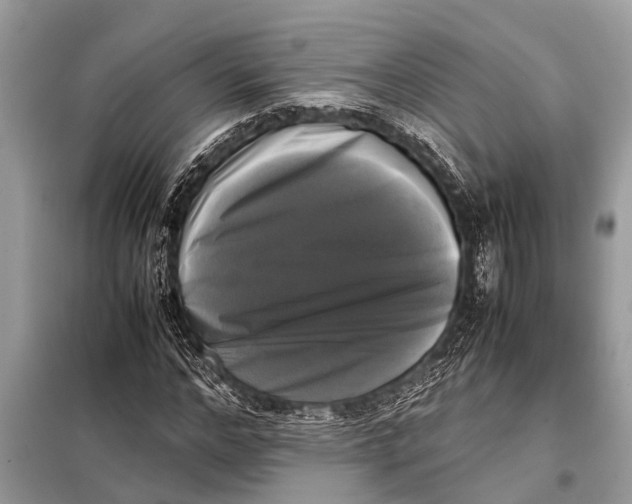 X0000098190968200805081044