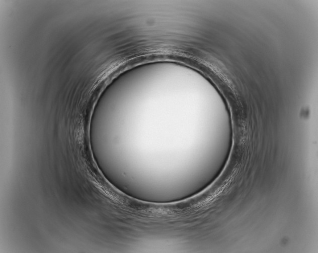 X0000098190969200805081044