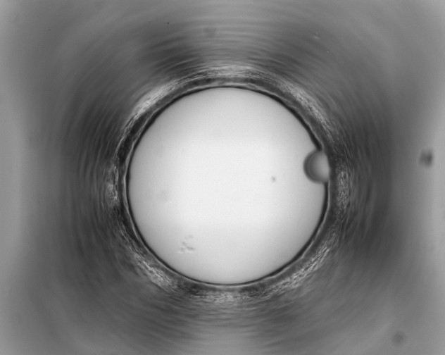 X0000098190970200805081044