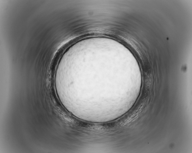 X0000098190971200805081044
