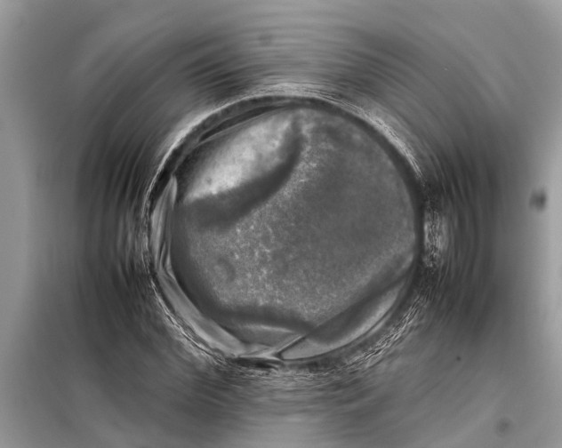 X0000098190972200805081044
