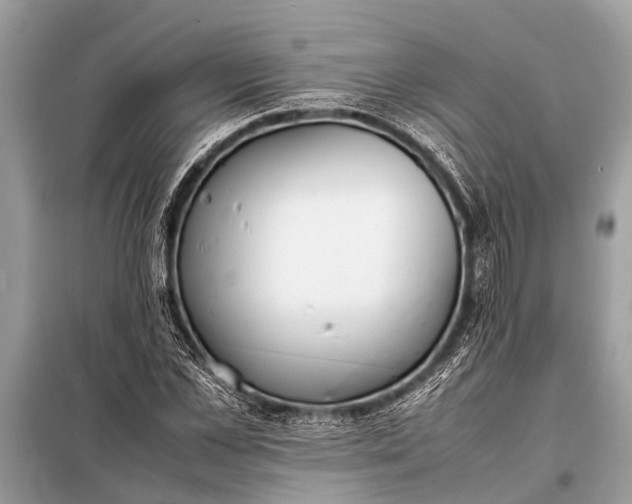 X0000098190973200805081044