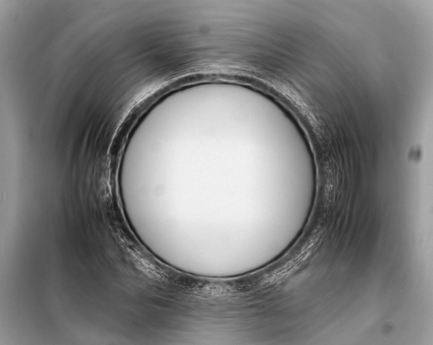 X0000098190974200805081044