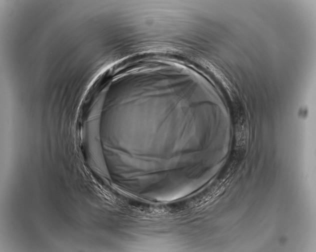 X0000098190975200805081044