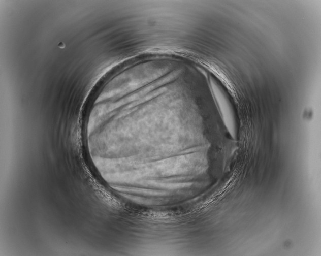 X0000098190976200805081044