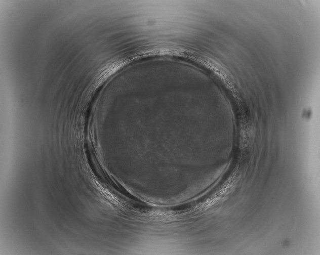 X0000098190977200805081044