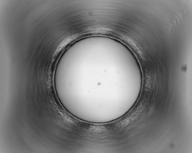 X0000098190978200805081044