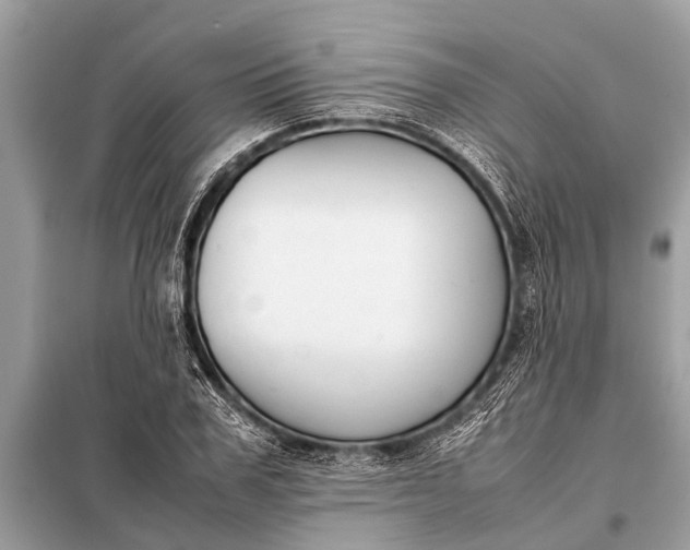 X0000098190979200805081044