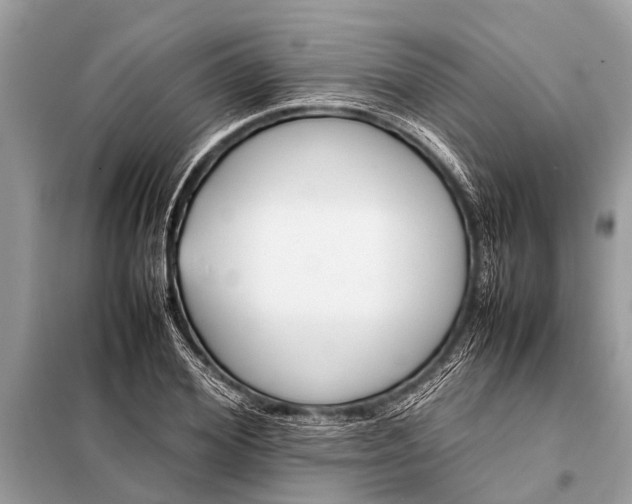 X0000098190980200805081044