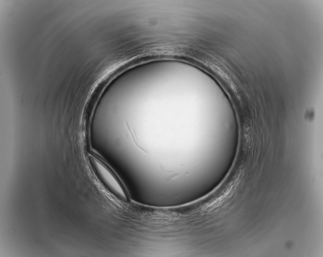 X0000098190981200805081044