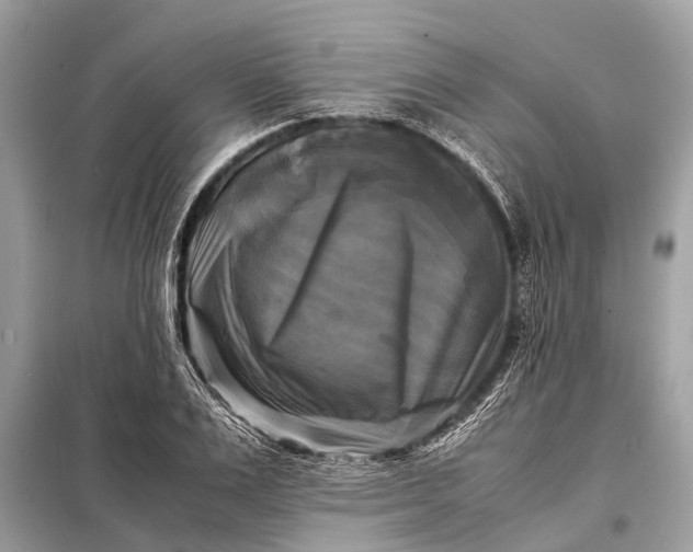 X0000098190983200805081044