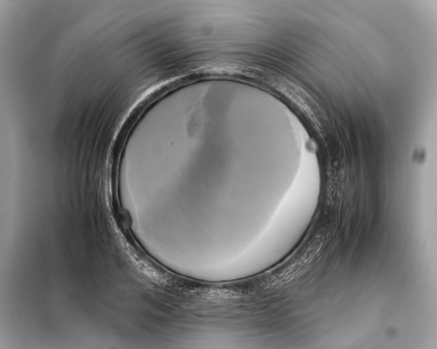 X0000098190984200805081043