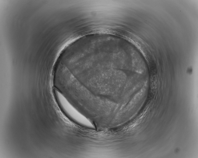 X0000098190987200805081043