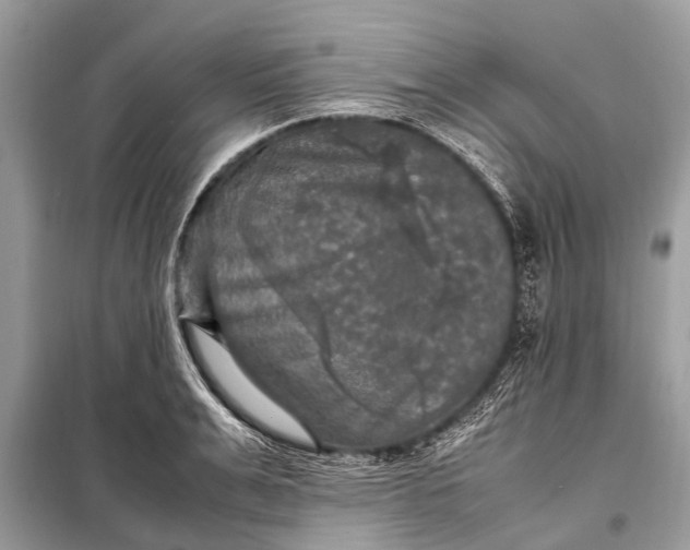 X0000098190991200805081043