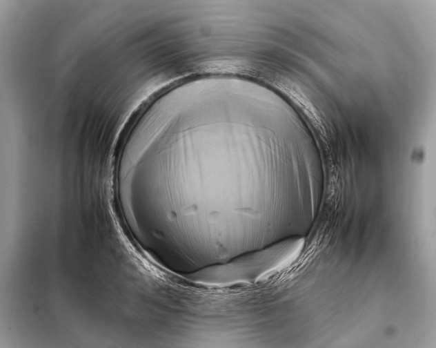 X0000098190992200805081043