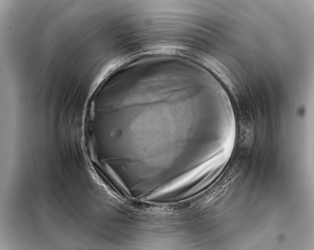 X0000098190994200805081043