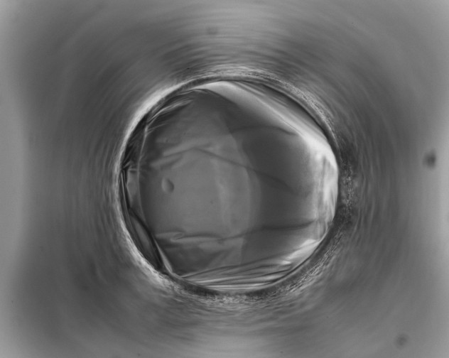 X0000098190995200805081043