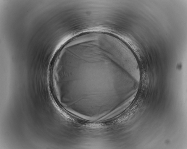X0000098190998200805081043
