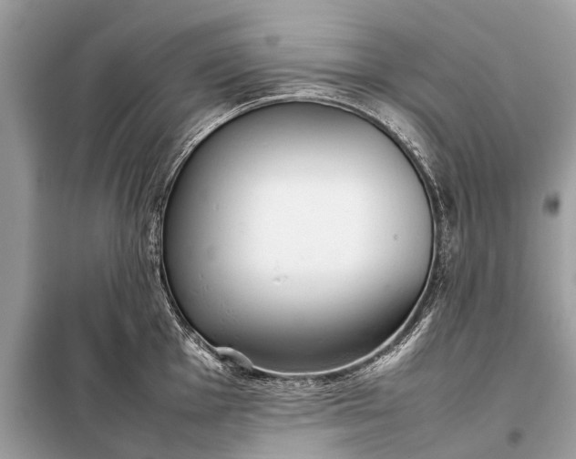 X0000098191001200805081043