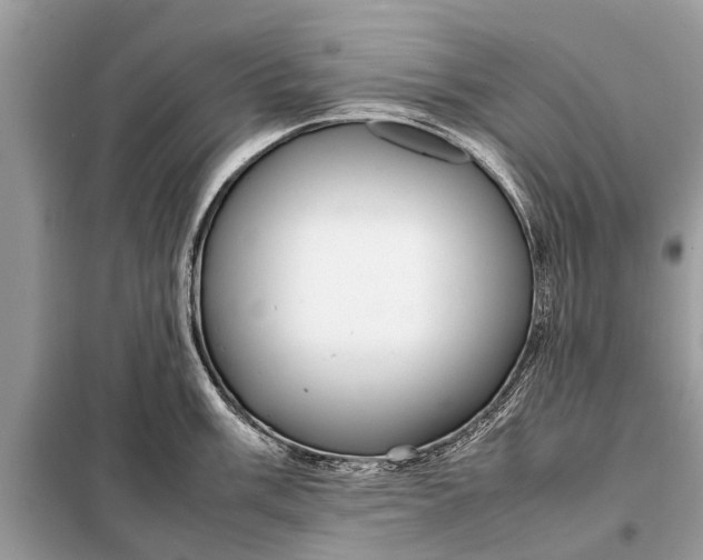 X0000098191003200805081043