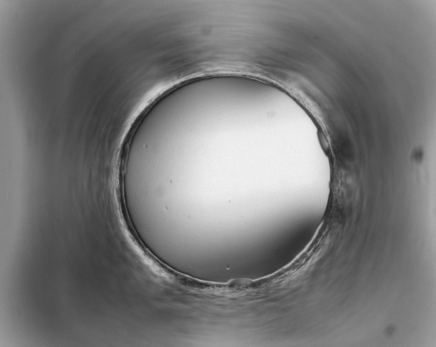 X0000098191005200805081043