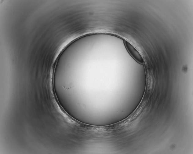 X0000098191006200805081043