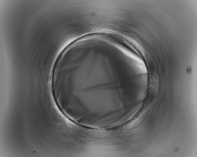 X0000098191007200805081043