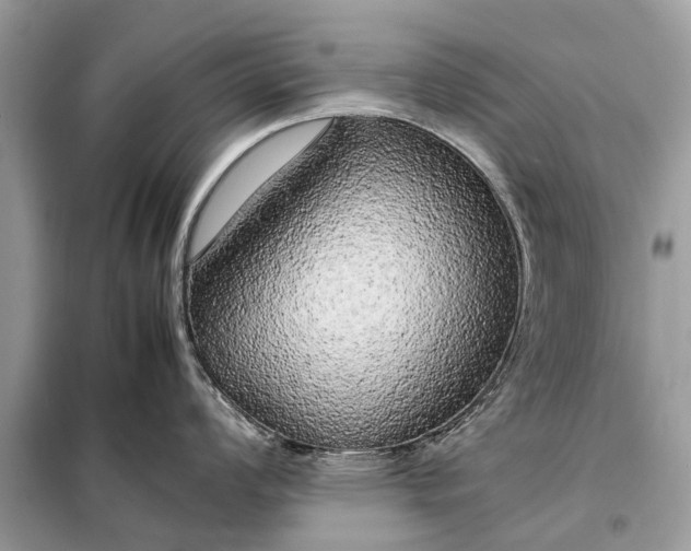 X0000098191008200805081043