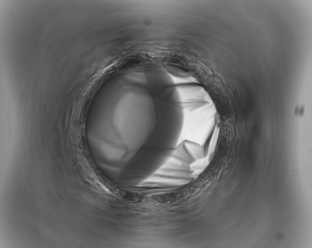 X0000098191009200805081042