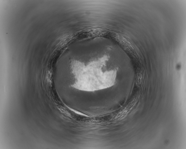 X0000098191010200805081042