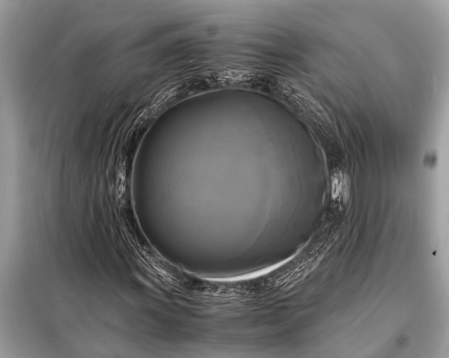 X0000098191011200805081042