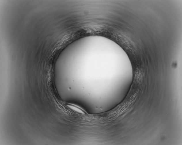 X0000098191012200805081043