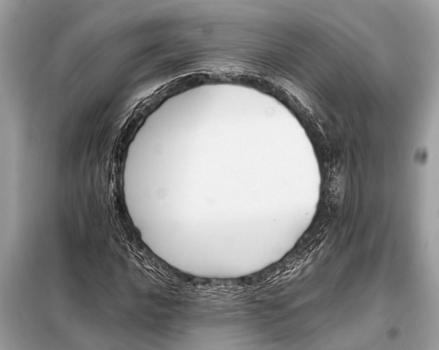 X0000098191016200805081043