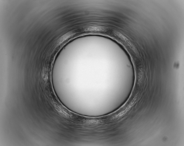 X0000098191017200805081043