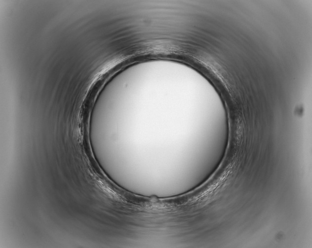 X0000098191018200805081043