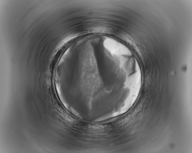 X0000098191019200805081043