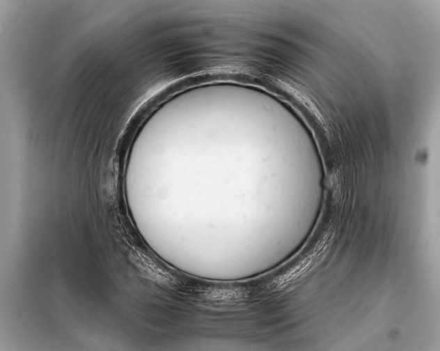 X0000098191021200805081043