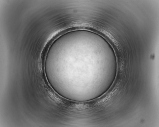 X0000098191022200805081043