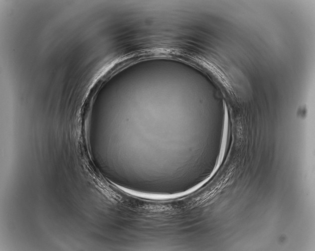 X0000098191023200805081043