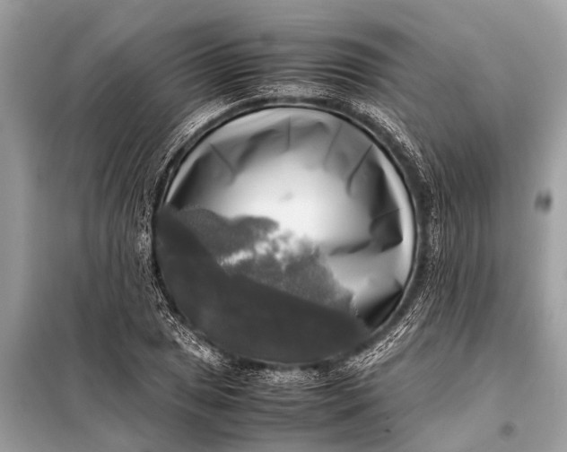 X0000098191025200805081043
